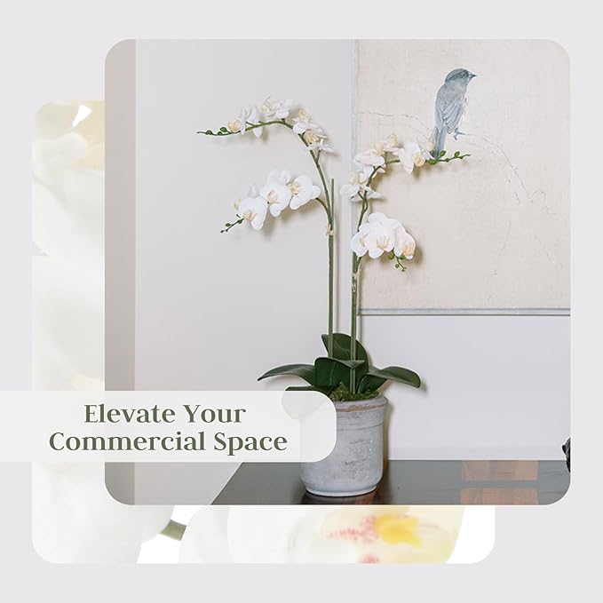 Faux White Orchid Plant, Premium Artificial Indoor Flower Display Stands 24”, Beautiful Sculptural Blooms That Lasts Forever, Grey Planter Pot Included-Ruum Studio Home