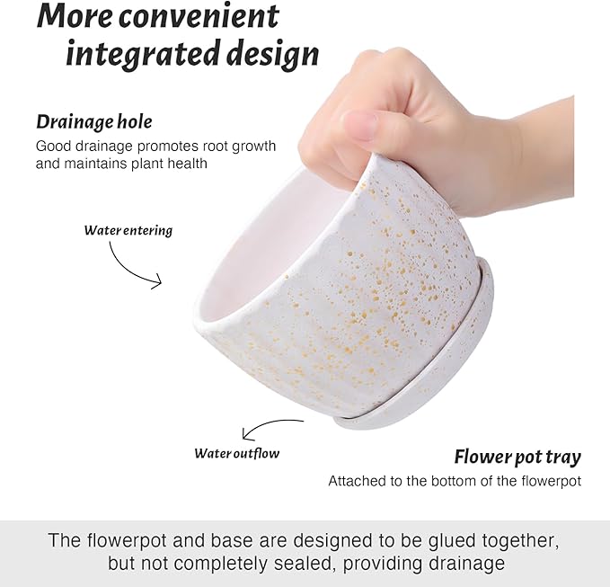 Ceramic Plant Pots with Drainage Holes and Saucers, Round Flower Pots for Indoor Plant, Diameter 3.3/4.3/5.5 Inches Small Flower Planters Set of 3-Ruum Studio Home
