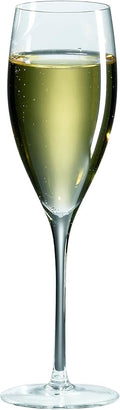 Ravenscroft Crystal Champagne Glass, Set of 4-Ruum Studio Home
