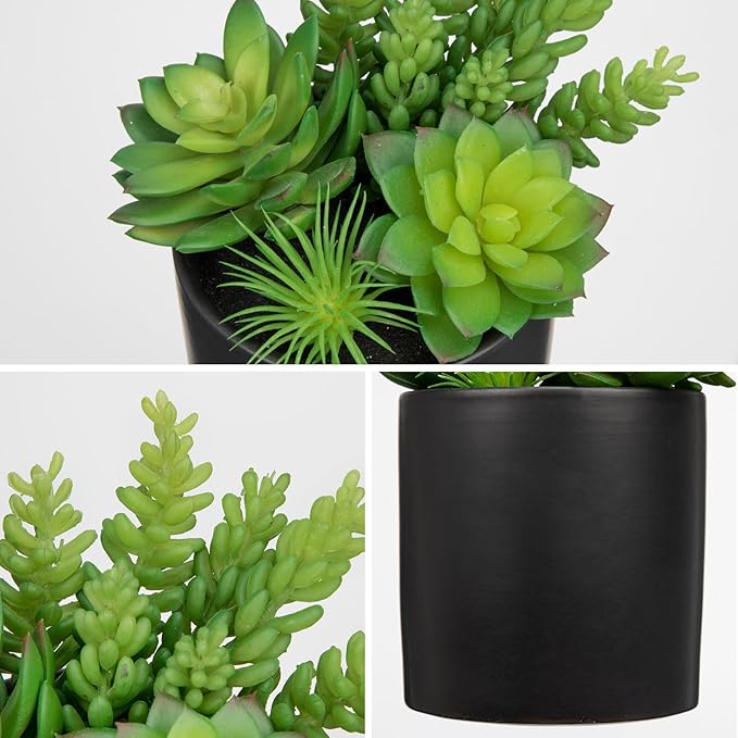 Artificial Succulents in Pots Faux Succulents Plants Fake Succulent Arrangement Potted Plants with Black Ceramic Vase for Office Desk Bathroom Shelf Living Room Indoor Home Decor-Ruum Studio Home