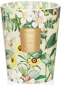 M&SENSE Extra Large Candle Sage Citrus Scented, 3-Wick 35oz 150H Long Lasting, Natural Soy Wax Aromatherapy Candle for Stress Relief, Home Fragrance Housewarming Gifts Candle for Home Decor-Ruum Studio Home