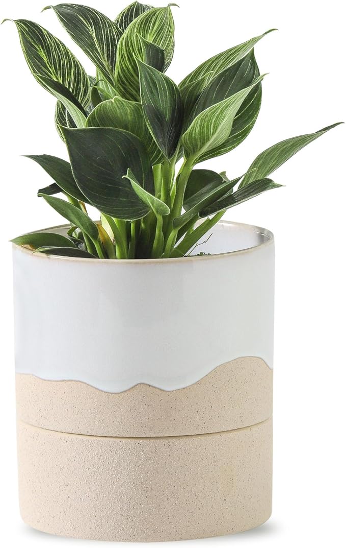 Nihow Self Watering Plant Pot: 4.5 Inch Ceramic Planter with Drainage Hole & Water Storage Plus for Indoor & Outdoor Plants - Cylinder Flower Pot for Herbs/Violets - White & Nature-Ruum Studio Home