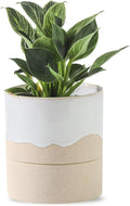 Nihow Self Watering Plant Pot: 4.5 Inch Ceramic Planter with Drainage Hole & Water Storage Plus for Indoor & Outdoor Plants - Cylinder Flower Pot for Herbs/Violets - White & Nature-Ruum Studio Home