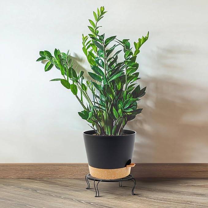 Self Watering Pots for Indoor Plants,12 inch Planters with Drainage Holes Plastic Flower Pots with Deep Reservoir, Black with Brown-Ruum Studio Home