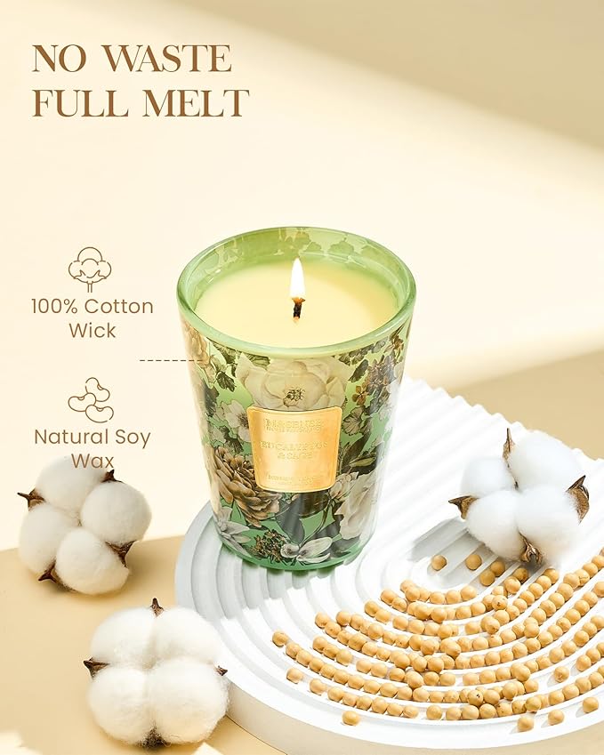 M&SENSE Eucalyptus Sage Scented Candle, 14.1oz 60H Burn Time Slow Burning, Natural Soy Candles Aromatherapy Relaxing Sleep, Home Fragrance Housewarming Gifts-Ruum Studio Home