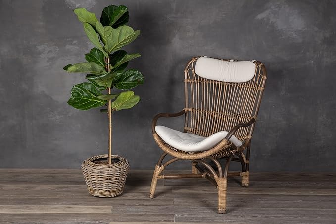 Rattan Kobo Indoor Outdoor Planter Basket with Plastic Pot Medium 35 Gallon Soil Capacity-Ruum Studio Home