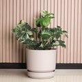 Elly Décor 12 inch Plastic Cylinder Planter Pot with Self-Watering Saucer and Drainage Hole,Lightweight & Extremely Durable, 12"x 12", Ivory-Ruum Studio Home