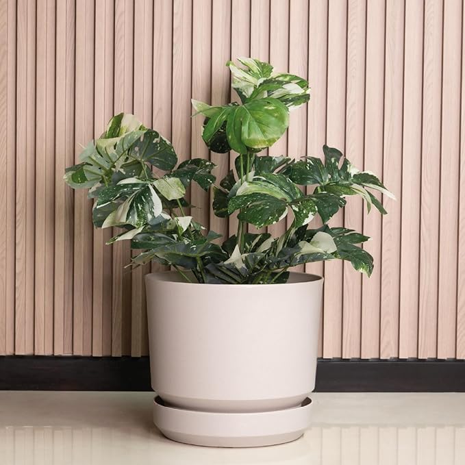 Elly Décor 12 inch Plastic Cylinder Planter Pot with Self-Watering Saucer and Drainage Hole,Lightweight & Extremely Durable, 12"x 12", Ivory-Ruum Studio Home