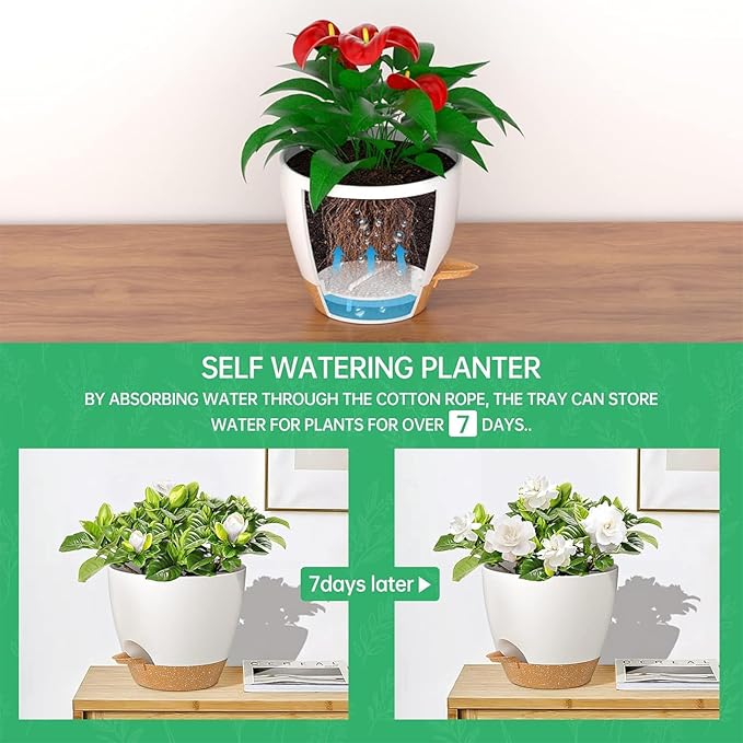 ZMTECH 10 Inch Hanging Planters for Indoor Outdoor Plants, 2 Pack Self Watering Hanging Plant Pots with Drainage Holes and Removable Saucer, Plastic Flower Hanging Pots with Watering Lip (White)-Ruum Studio Home