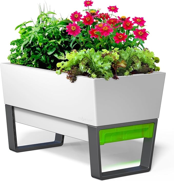 Glowpear Self Watering Planter Box - 29.5", White - UV Stable, Scalable Urban Raised Garden Bed with Water Gauge, Indoor Outdoor for Vegetables, Flowers, Herbs, and Succulents, Gardening-Ruum Studio Home