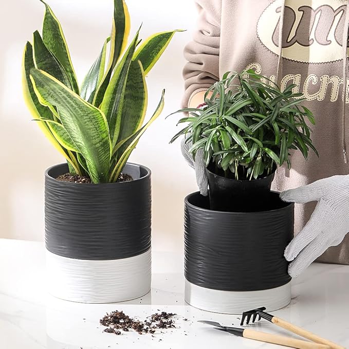 Nihow Ceramic Plant Pot: 6 Inch Planter with Drainage Hole & Saucer for Indoor & Outdoor Plants - Cylinder Round Flower Pot for Succulent/Herbs/Violets - Black & White-Ruum Studio Home