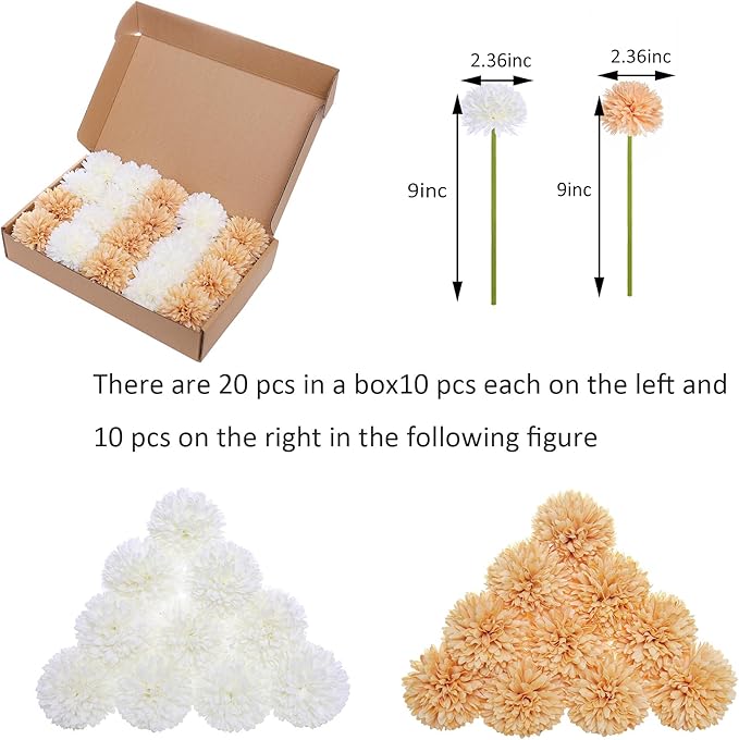 Kimura's Cabin 20Pcs Fake Mums Flowers Artificial Silk Chrysanthemum Faux Ball Flowers for Spring Wedding Arrangements Home Indoor Kitchen Table Centerpiece (White Champagne)-Ruum Studio Home