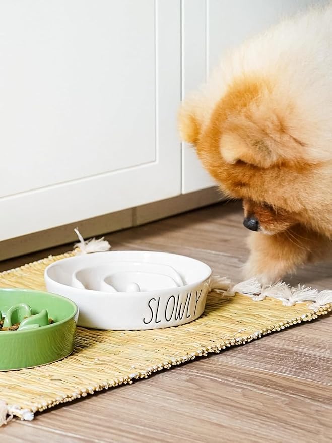 Ceramic Elevated Slow Feeder Dog Bowl - 0.6 Cup Puzzle Feeder with Wooden Stand for Small Breeds, White Pet Dish-Ruum Studio Home