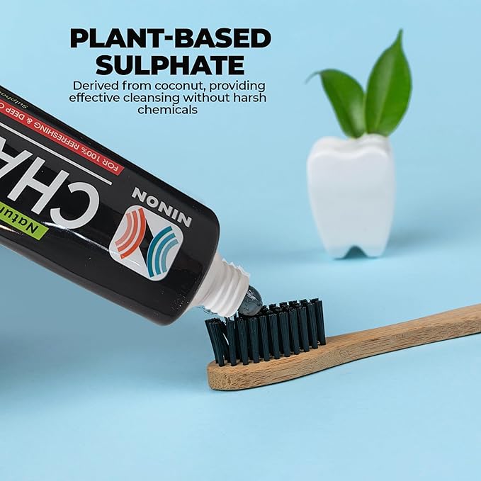 Activated Charcoal Whitening Toothpaste, Fluoride-Free, Enamel-Safe, Natural Mint Flavor, 6.5oz Tube for Stain Removal and Fresh Breath Pack of 1-Ruum Studio Home