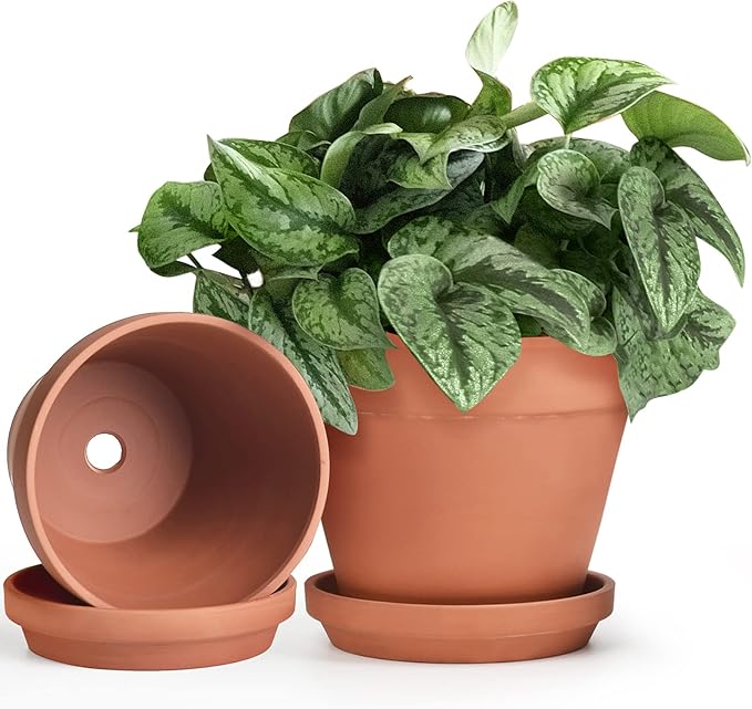 INGOFIN Terracotta Pots Set with Saucer - 2-Pack Ceramic Clay Planters with Drainage Hole, Garden Flower Succulent Pots with Tray for Indoor Outdoor Plants, 8 inch, Set of 2-Ruum Studio Home