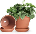 INGOFIN Terracotta Pots Set with Saucer - 2-Pack Ceramic Clay Planters with Drainage Hole, Garden Flower Succulent Pots with Tray for Indoor Outdoor Plants, 8 inch, Set of 2-Ruum Studio Home