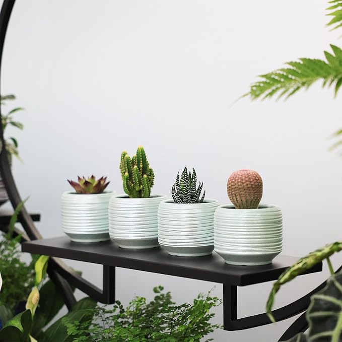 Mini Succulent Planter Set – 3.7 Inch Ceramic Pots with Drainage for Indoor Plants, Small Decorative Flower Pots for Cactus and House Plants, Set of 4-Ruum Studio Home