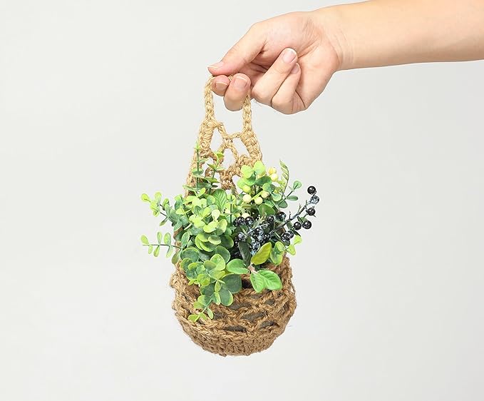 3PK Wall Planters for Indoor Plants, Macrame Plant Hanger | Wall Planter, Plant Hanger, Hanging Planter (3PK, for 4 inch Pot)-Ruum Studio Home