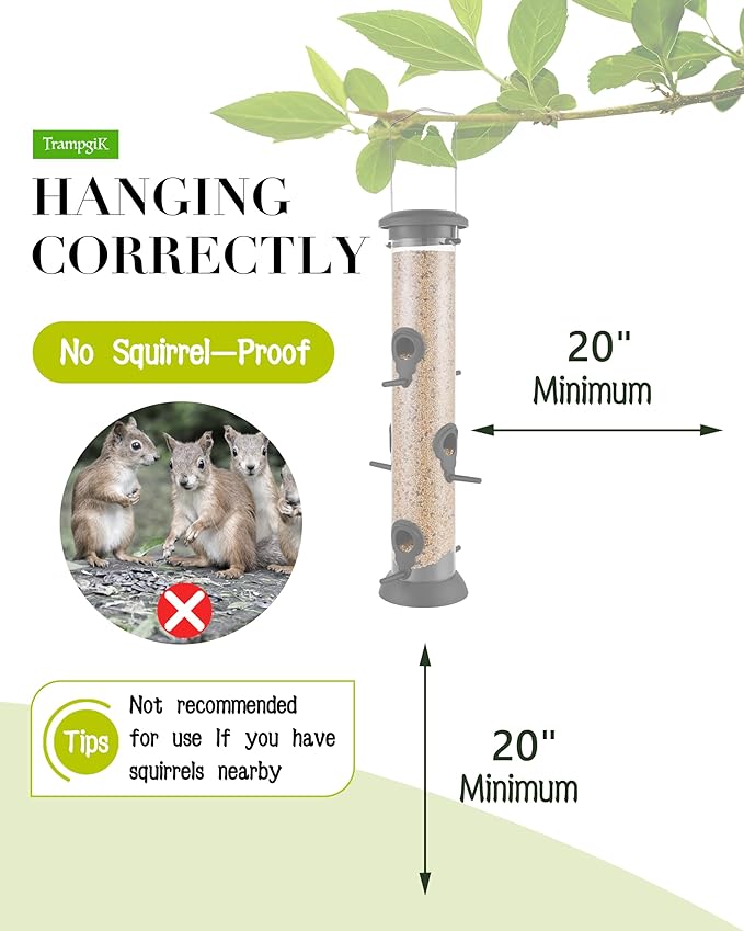 Bird Feeder Premium Hard Plastic for Wild Bird Feeders for Outdoors, Tube Bird Feeders for Outdoors Hanging,14 Inch 6 Port Black, Pack of 1-Ruum Studio Home