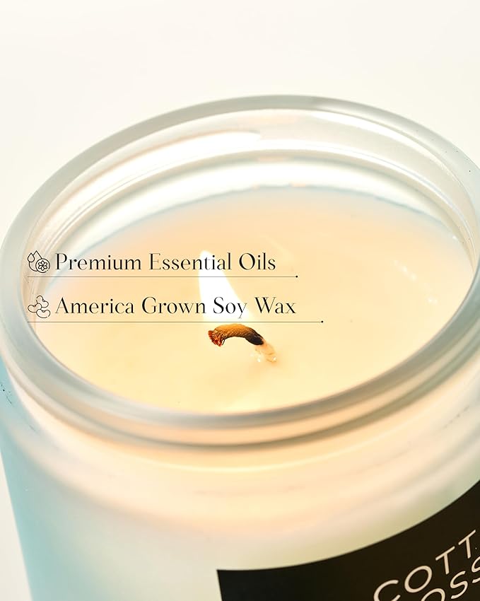 M&SENSE Clean Cotton Scented Candle - 7.05oz Natural Soy Wax Clean Cotton Blossom Scent Non Toxic Candle, 50-Hour Slow Burning 2-Wick Aromatherapy Home Fragrance Gifts for Home Decor-Ruum Studio Home