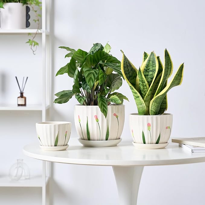 4/5/6 Inches Ceramic Plant Pots with Drainage Holes and Saucers, Round Flower Pots for Indoor Plant, Small Flower Planters Set of 3 (White Floral-Big Size)-Ruum Studio Home