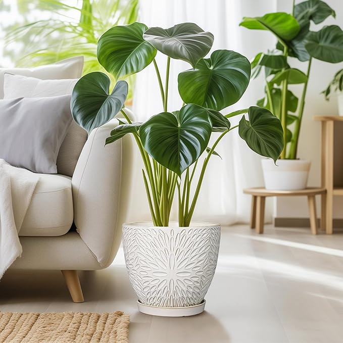 G EPGardening 10 Inch Ceramic Planter Pot with Drainage Hole and Saucer Large Plant Pot for Indoor Plants Outdoor Round Flower Pot for Home Garden Office White-Ruum Studio Home