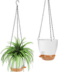 GARDIFE Hanging Planter, 8 inch Hanging planters for Indoor. Outdoor Plants, Self Watering Plant Pot, 2 Pack Large self Watering Hanging Planter (8-White, 8 inch)-Ruum Studio Home