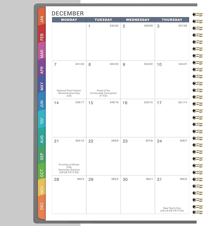 2026 Weekly Appointment Book - Appointment Book 2026, Jan 2026 - Dec 2026, Daily/Hourly Planner with Tabs, 15 Minutes, 8.26"x 11.4", Wirebound - Grey-Ruum Studio Home