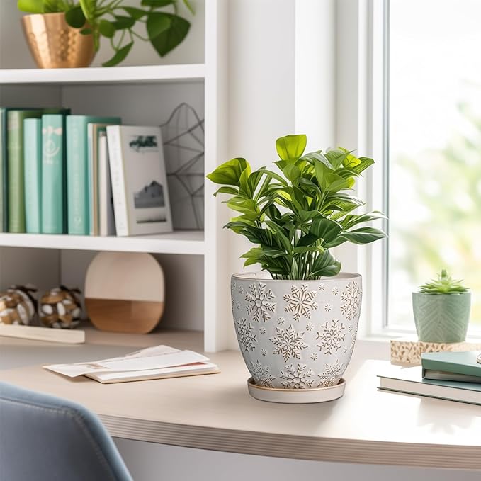 6.9 Inch Plant Pot with Drainage Hole and Saucer Ceramic Planter for Indoor Plant Flower Pot for Orchid Succulents Plants White-Ruum Studio Home