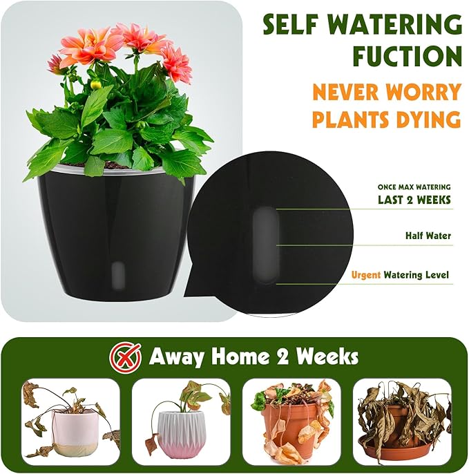 Self Watering Pots for Indoor Plants, 6-Pack 5'' Self Watering Planter with Drainage Holes, Small African Violet Pots with Water Indicator, Clear Wick Orchid Pot, Black-Ruum Studio Home