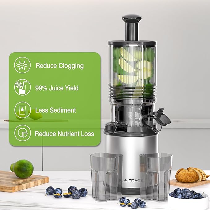 Cold Press Juicer – 6.5" Extra Large Feed Chute Fit Hands-Free Electric Masticating Juicer Machine, 350W Slow Masticating Juicer Machine for Whole Fruit and Vegetables – Easy Cleanup & Assembly-Ruum Studio Home