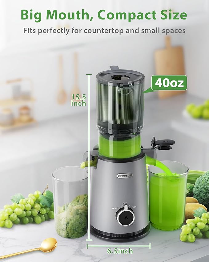 Cold Press Juicer, ECOSELF Juicer Machines with 4.35" Large Feed Chute Fit Whole Fruits & Vegetables, Self Feeding for Juice Extractor Machine, Easy to Clean and Assemble, High Juice Yield-Ruum Studio Home