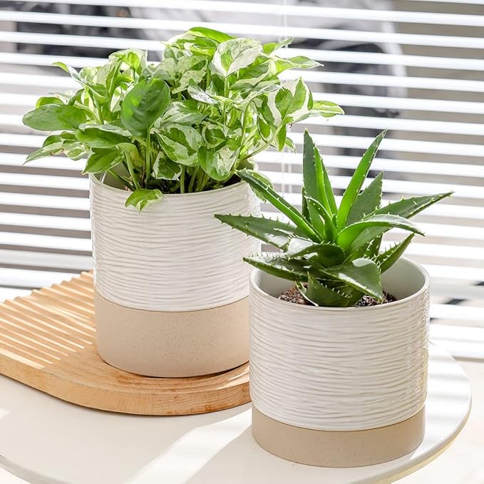 Nihow Self Watering Plant Pot: 6 Inch Ceramic Planter with Drainage Hole & Water Storage Plus for Indoor & Outdoor Plants - Cylinder Round Flower Pot for Succulent/Herbs/Violets - Cream White & Brown-Ruum Studio Home