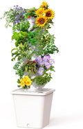 Vertical Hydroponics Growing System Kit, Indoor Outdoor Gardening System Kits, Herb & Fruits Growing Tower, 6 Layer 30 Pods-Ruum Studio Home