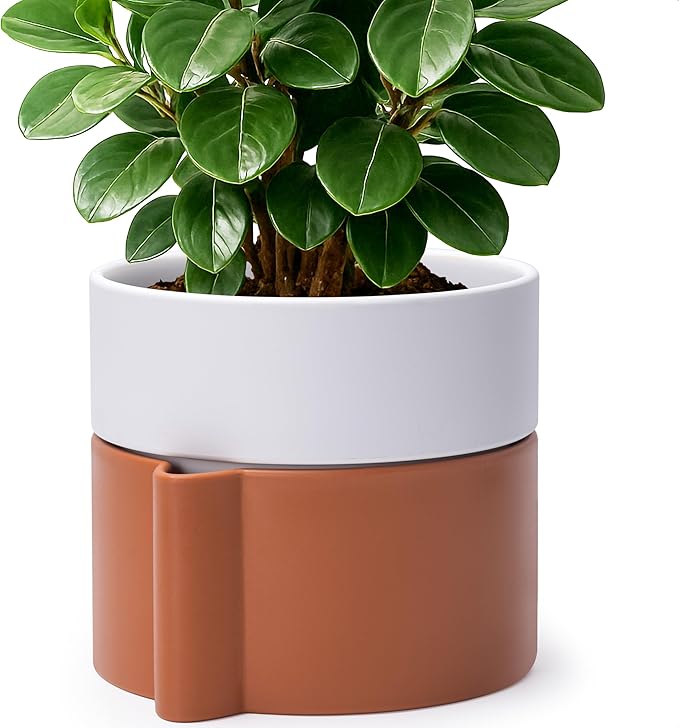 8 Inch Self-Watering Planter Pot with Terracotta Insert, Deep Water Reservoir, and Ceramic-Alike BPA-Free Plastic Planter Pot for Plant, Modern Planter for Houseplants, Terracotta/White, 53-B-T-6-Ruum Studio Home