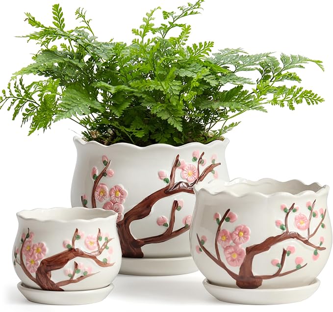 Ceramic Plant Pots with Drainage Holes and Saucers, Round Flower Pots for Indoor Plant, 3.9/5.2/6.7 Inches Small Flower Planters Set of 3-Ruum Studio Home
