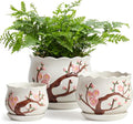 Ceramic Plant Pots with Drainage Holes and Saucers, Round Flower Pots for Indoor Plant, 3.9/5.2/6.7 Inches Small Flower Planters Set of 3-Ruum Studio Home
