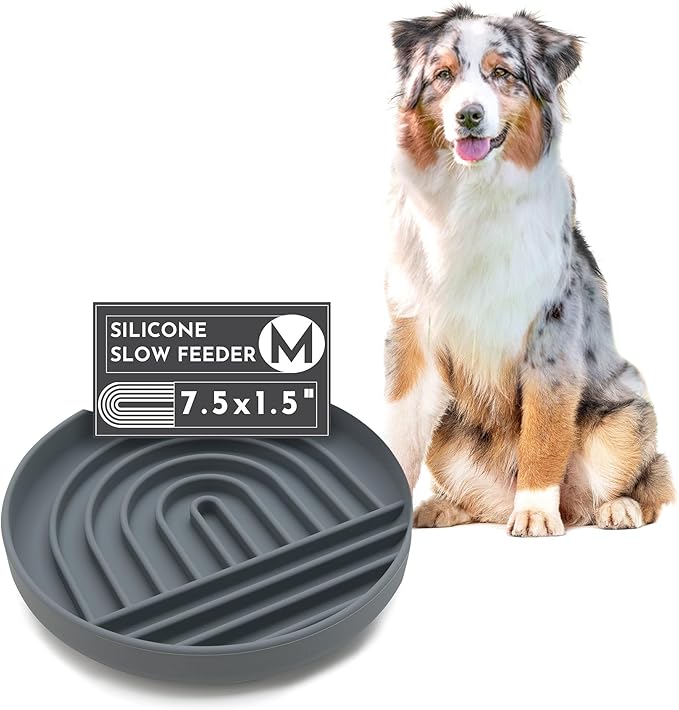 The Slowdown Bowl Silicone Slow Feeder for Dogs & Puppies, Slow Eating, Modern Lick Mat Design, Reduces Gulping, Fits 2 Cups 7.5” Across x 1.5” Tall, Mealtime Challenge, Medium-Charcoal-Ruum Studio Home