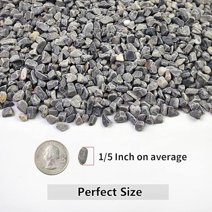 5LB Succulent and Cactus Gravel Pebbles, 1/5 Inch Natural Decorative Polished Stones, River Rocks for Plants, Vases, Aquariums, Terrarium and Outdoor Gardening,Grey-Ruum Studio Home