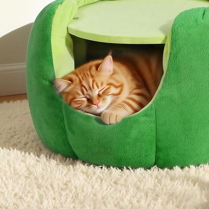 Cat Houses for Indoor Cats, Small Cat Tree with Sisal Ropes and Plush Perch, Cute Cat Bed Cave with Soft Pillow, Cactus Design-Ruum Studio Home