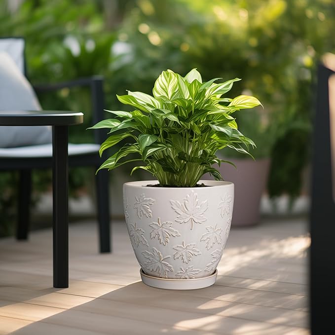 Pots for Plants 10 Inch - Ceramic Planter Large Plant Pot for Indoor Plants Outdoor Round Flower Pot with Drainage Hole and Saucer Home Garden Decor White-Ruum Studio Home
