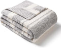 Snuggle Sac Twin Size Bedding Blankets Luxurious Microfiber, Reversible Super Soft Warm Cozy Blankets Fuzzy Plush Blanket for Bed,Couch,Sofa,Living Room, Grey Stripe,60x80 inches-Ruum Studio Home