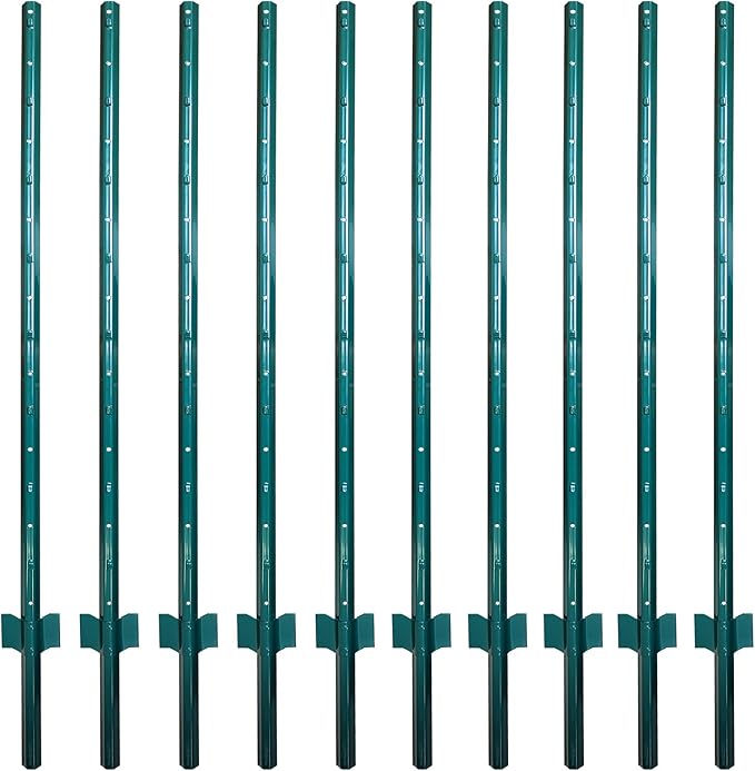 ARIFARO Fence Posts 5 Feet Sturdy Duty Metal Fencing Fencing Poles, Pack of 10, No Dig Garden T Post for Wire Fencing Steel Poles for Yard, Outdoor Wire-Ruum Studio Home