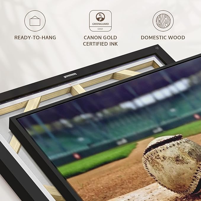 ElephantStock Baseball In Stadium Wall Art - Horizontal Framed Canvas - 1-Piece Living Room Wall Decor - Car Photography Canvas Print - Brown and Beige Decor for Wall - 19" X 13"-Ruum Studio Home
