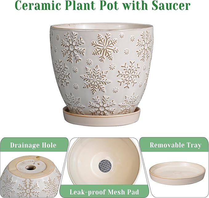 6.9 Inch Plant Pot with Drainage Hole and Saucer Ceramic Planter for Indoor Plant Flower Pot for Orchid Succulents Plants White-Ruum Studio Home