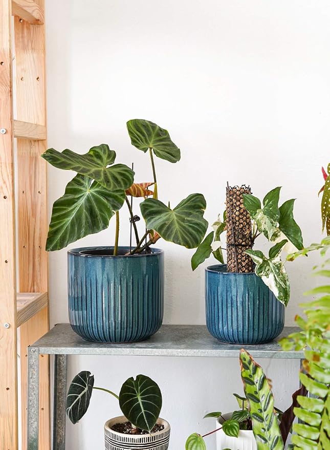 LE TAUCI Fluted Ceramic Planters Set of 3 – 8.3/7 / 5.7 in Ocean Blue Reactive Cylinder Indoor Plant Pots with Drainage Plug & Mesh, Glossy Stoneware Flower Pots for Succulents Herbs-Ruum Studio Home
