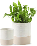 Nihow Self Watering Plant Pot for Indoor Plants: 4.5+6 Inch Ceramic Planter with Drainage Hole & Water Storage Plus - Cylinder Flower Pot with Wick for Herbs -White & Brown-Ruum Studio Home