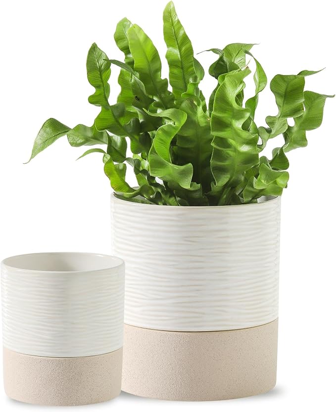 Nihow Self Watering Plant Pot for Indoor Plants: 4.5+6 Inch Ceramic Planter with Drainage Hole & Water Storage Plus - Cylinder Flower Pot with Wick for Herbs -White & Brown-Ruum Studio Home