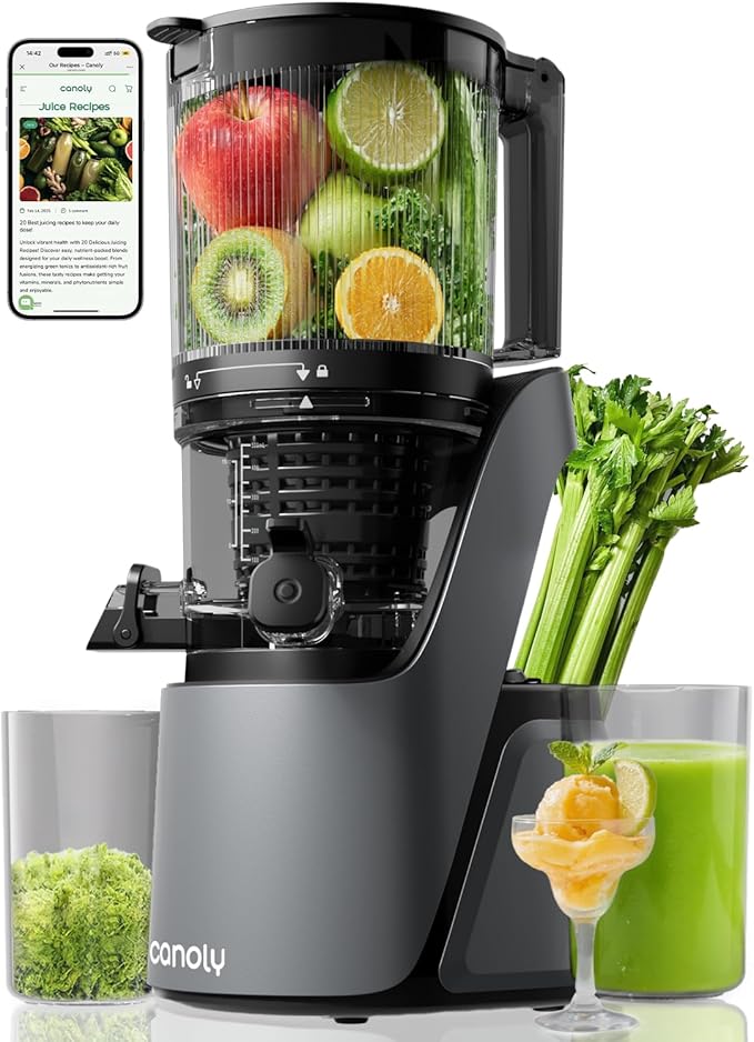 Canoly C16 Cold Press Juicer, 6" Extra Wide Feed Chute, 3-IN-1 Strainers (Juice & Sorbet & Nut Milk), Powerful AC Brushless Motor, Self Precut System, Juicer Machines with BPA-Free (Space Gray)-Ruum Studio Home