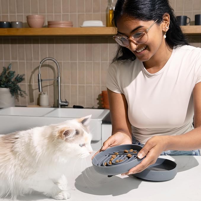 The Slowdown Bowl Silicone Slow Feeder for Cats & Kittens, Slow Eating Mealtime Solution with Modern Lick Mat Design, Reduces Gulping, Fits 1 Cup 6” Across x 1.25” Tall, Small-Tan-Ruum Studio Home